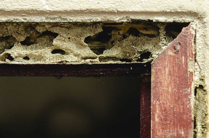 Damaged Framing Replacement in Wilmington, NC